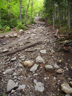 [A dirt trail with rocks anywhere from small pebbles to up to a foot in size.]